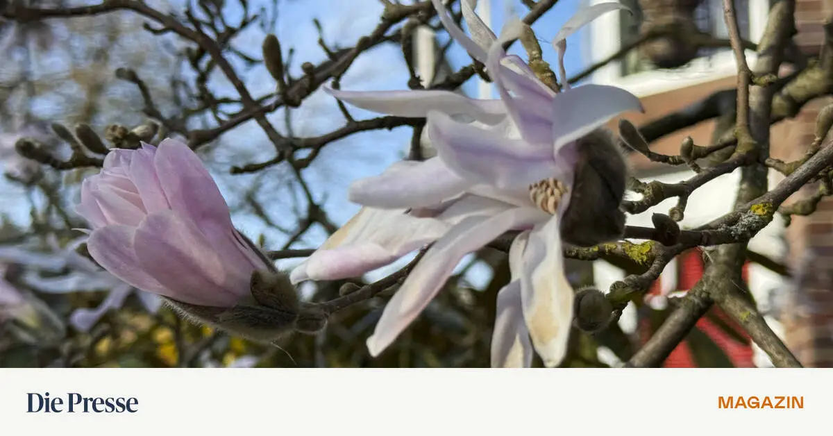 Kommen-Sie-in-unsere-poetische-G-rten-drei-Buchempfehlungen-f-r-Gartenliebhaber