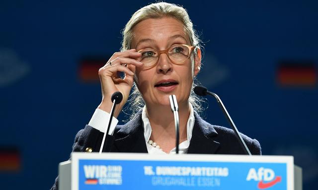 Die AfD-Vorsitzende Alice Weidel 