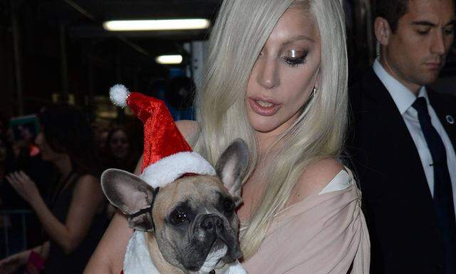 Lady Gaga mit einer ihrer französischen Bulldoggen im Jahr 2015 (Archivbild). 