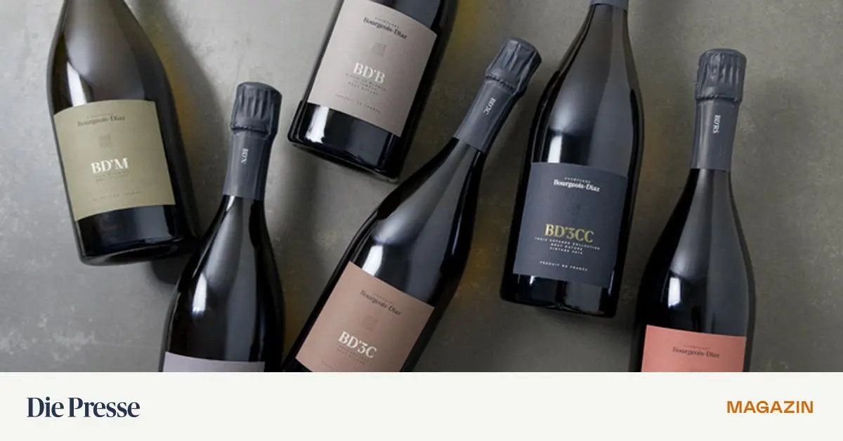 Amphoren-und-Agroforst-Was-sich-derzeit-in-der-Champagne-tut