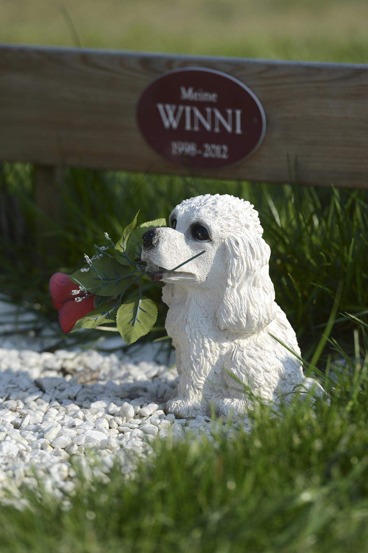 Brennende Kerzen, polierte Grabsteine und liebevoll arrangierte Blumen: Die Gräber am Wiener Tierfriedhof unterscheiden sich nicht wesentlich von jenen für die Zweibeiner.