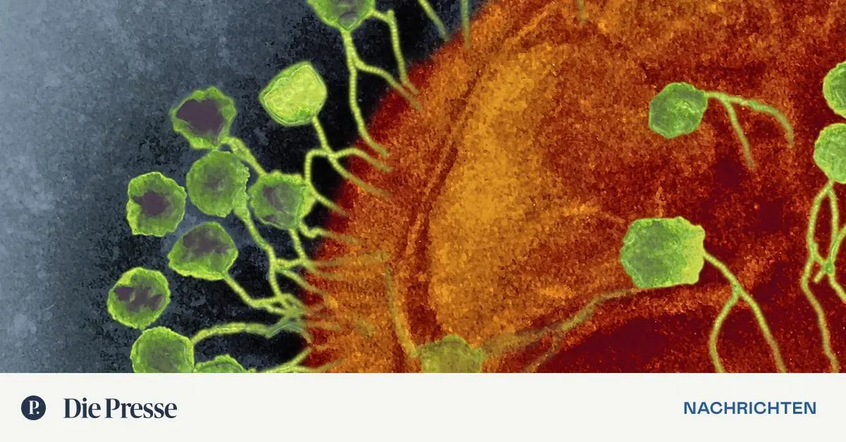 Wann Viren besser wirken als Antibiotika | DiePresse.com