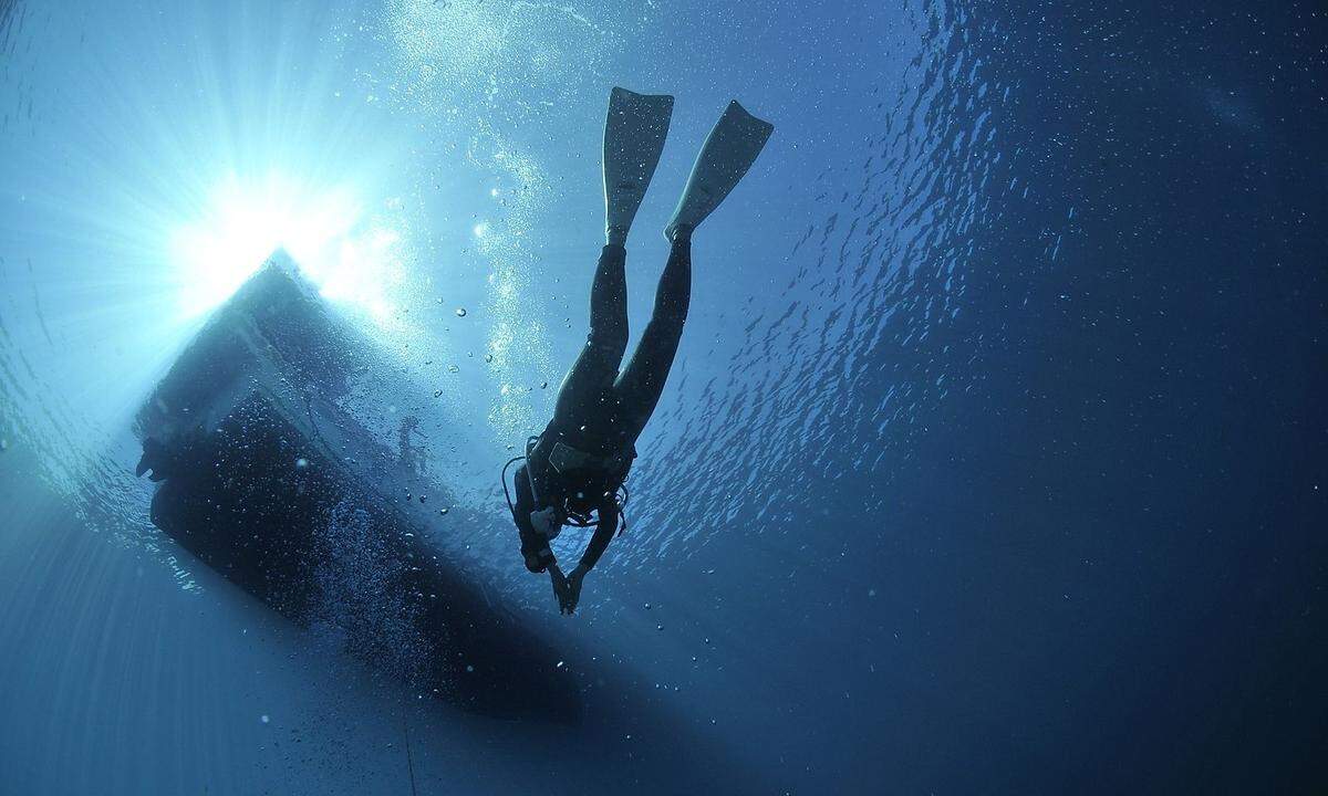 Unterwasser-Holzfäller im Amazonas Im Amazonas ist Tauchen kein Spaß. Doch unter Wasser wachsen seltene Hölzer, für die Luxusfirmen überdurchschnittlich hohe Summen bezahlen. Die Unterwasser-Holzfäller fällen diese Bäume mit speziellen Sägen und Maschinen. Weil sie als Taucher oft eher unerfahren sind, geraten sie im aufgewühlten Wasser immer wieder in lebensbedrohliche Situationen.