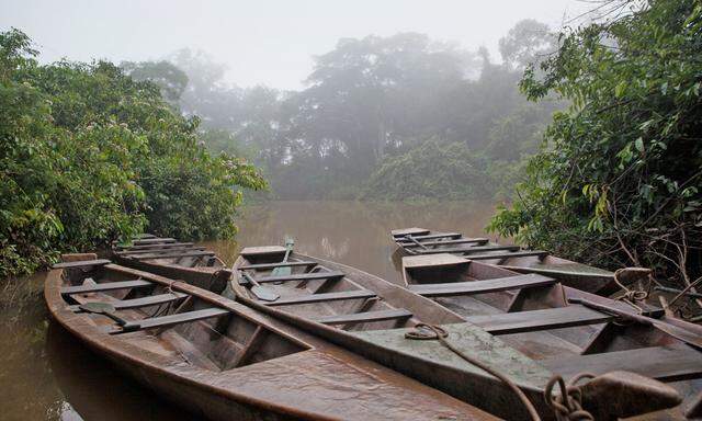 Handgeschnitzt. Flüsse sind die Lebensadern im Amazonas-Regenwald.