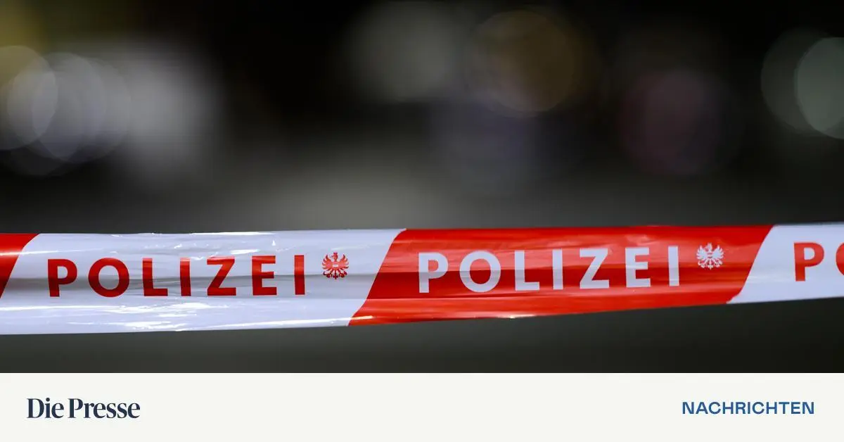 Einkaufswagen-und-Mistk-bel-in-Wiener-Wohnh-usern-angez-ndet