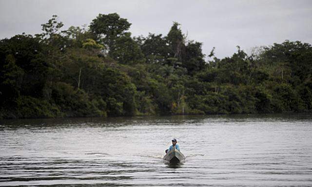 Belo MonteStaudamm oesterreichische Beteiligung