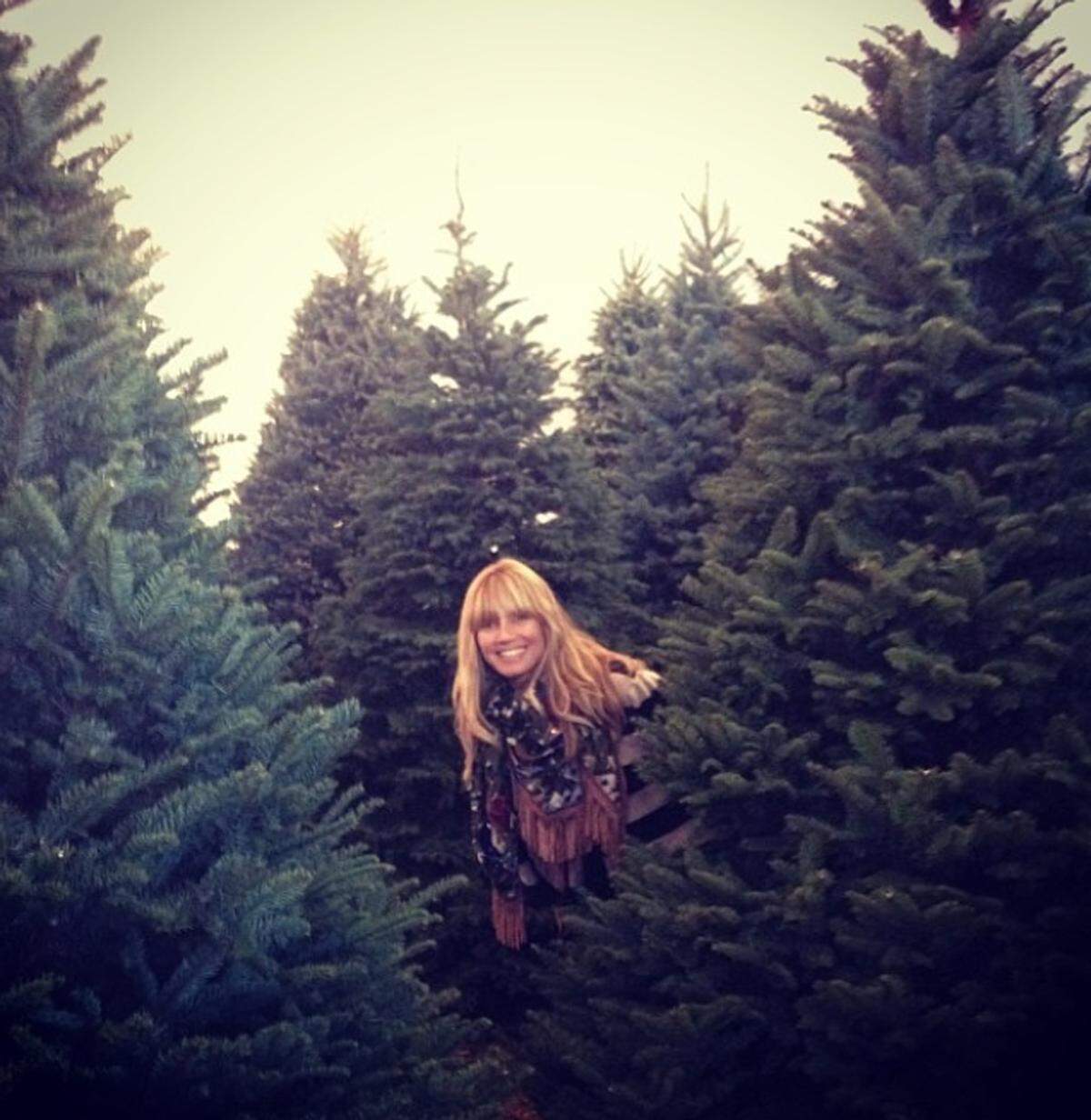 Heidi Klum ist auf der Suche nach dem perfekten Christbaum mit den Tannen auf Tuchfühlung gegangen.