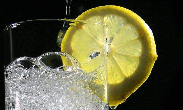 Glas mit Wasser und Zitronenscheibe - glass with water and a twist of lemon
