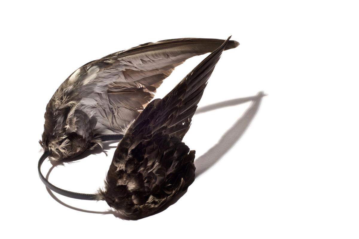 Während sich die Stücke von Iris Schieferstein eher für die Vitrine eignen, sind die Kadaver-Accessoires der Londoner Künstlerin Reid Peppard schon um eine Flügellänge tragbarer. Mit 650 Euro ist man übrigens bei dem Tauben-Haarreifen dabei.