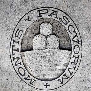 A logo of Monte dei Paschi di Siena bank is seen on the ground in Siena