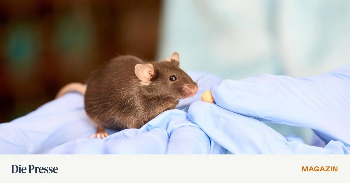 neue-wege-im-umgang-mit-der-labormaus-premium