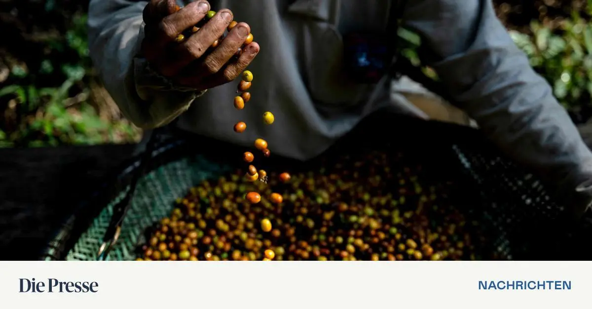 USA-heben-Z-lle-auf-brasilianisches-Rindfleisch-und-Kaffee-auf