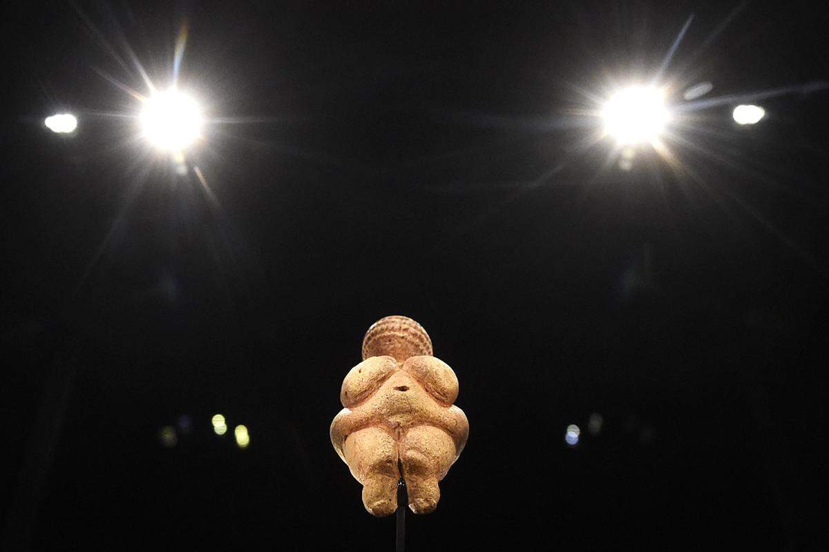 Die weltbekannte "Venus von Willendorf" hat eine neue Heimat im Naturhistorischen Museum Wien bekommen. Ihr neues "Venuskabinett" teilt sich die altsteinzeitliche Statuette mit der Figur "Fanny von Stratzing". Laut neuesten Analysen sind die beiden Statuetten etwa 4.500 Jahre älter als bisher gedacht, hieß es heute bei der Übersiedelung. Zu sehen sind die "Queens of the Stoneage" ab 30. September.  