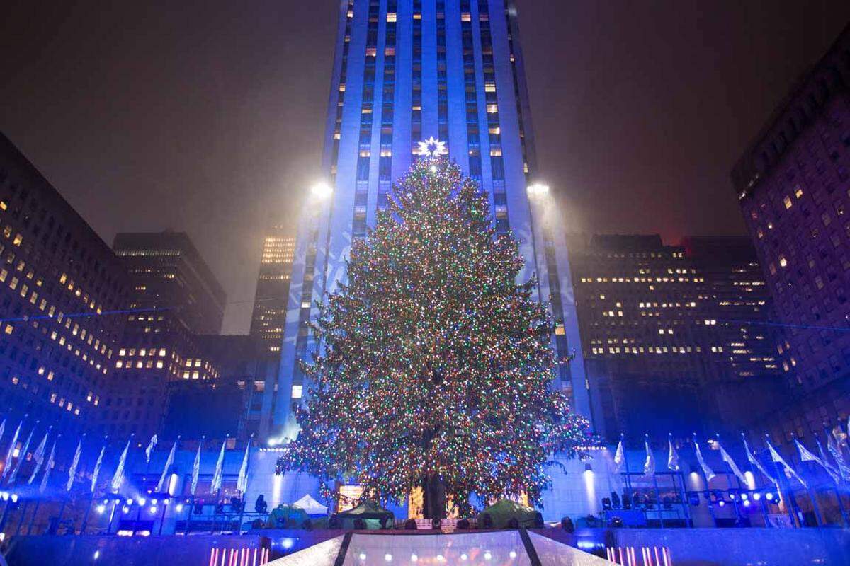 Die berühmte Nordmann Tanne vor dem Rockefeller Center in New York hat eine stolze Größe von 25 Metern und ein Kampfgewicht von 13 Tonnen.
