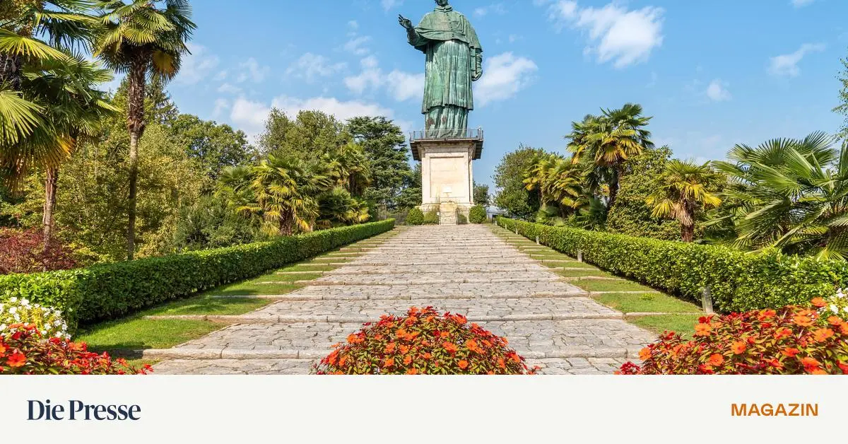 Der-gro-e-Bruder-der-Freiheitsstatue-premium-