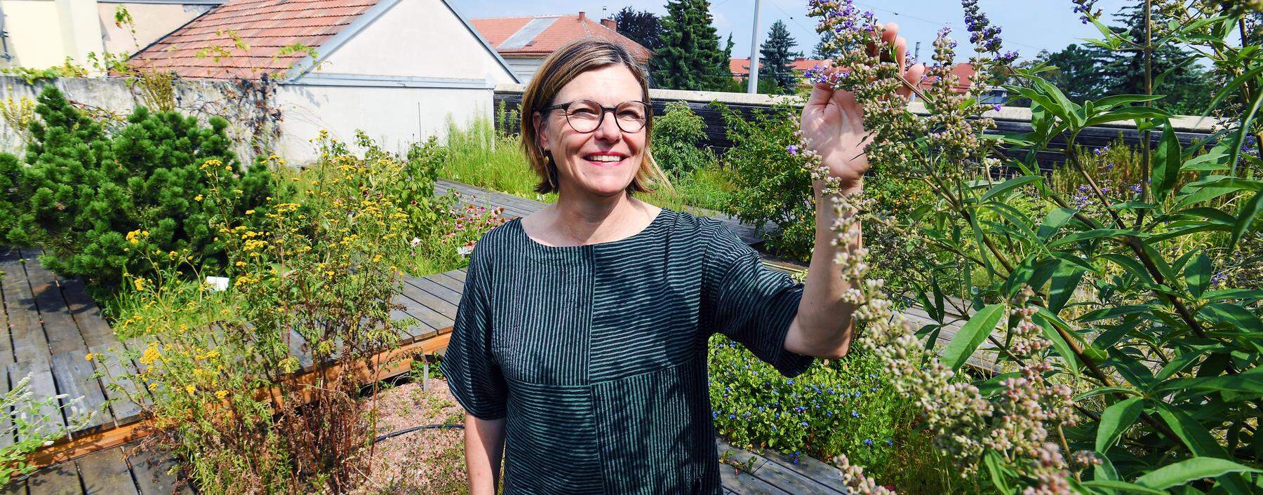 Sylvia Schalgintweit im Kräutergarten auf dem Dach der Apotheke "Zum Löwen von Aspern"