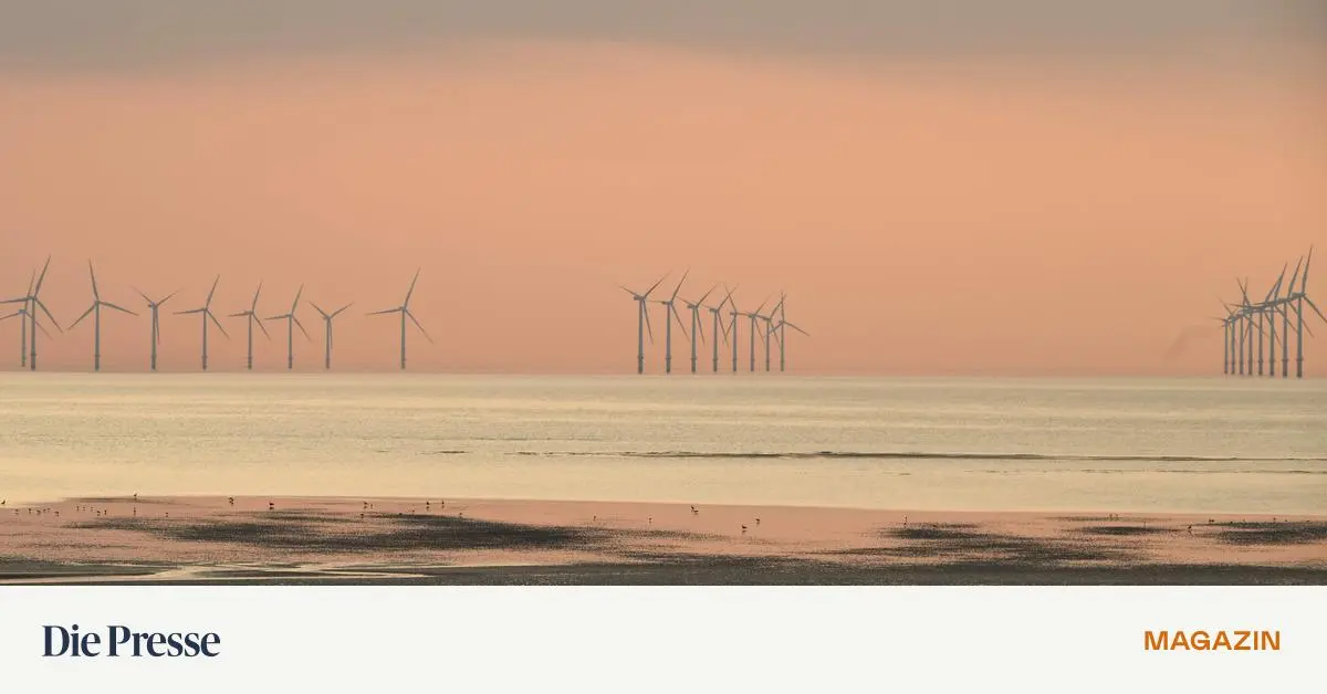 Klimaziele-leicht-gemacht-Europa-l-sst-Klimaschutz-im-Ausland-zukaufen-premium-