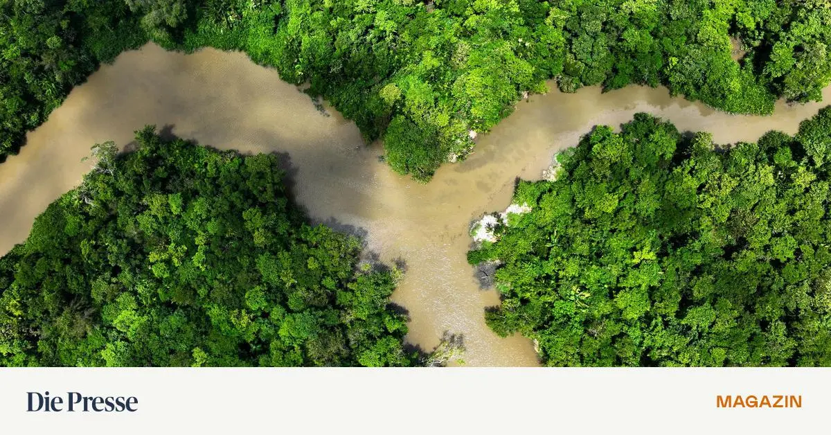 Entt-uschender-Klimagipfel-Die-f-nf-Lehren-aus-Bel-m-premium-