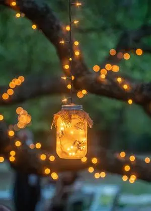 Beleuchteter Baum: Nicht nur im Winter ein erhellender Lichtblick.