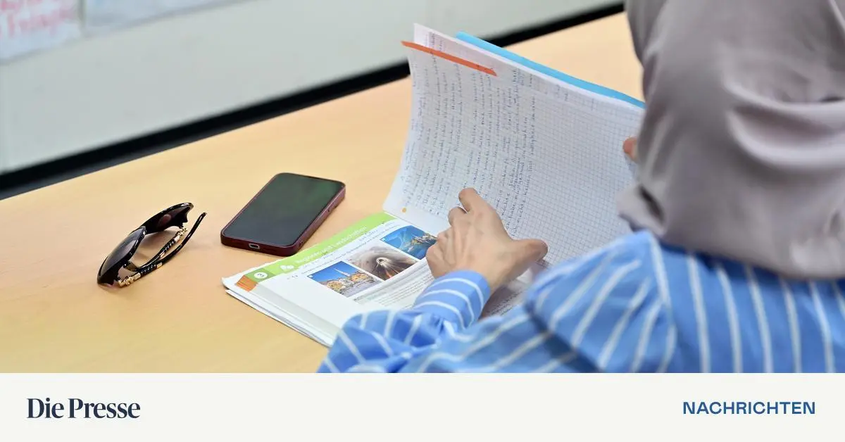 Rassismus-Problem-UNO-Beobachterin-bt-scharfe-Kritik-an-sterreich