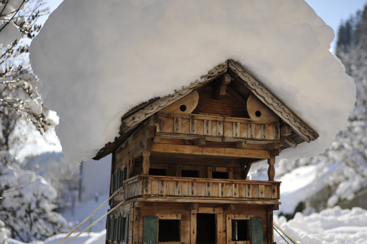 Damit auch die Vögel unversehrt über den Winter kommen.