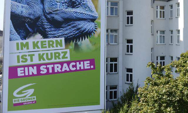 Symbolbild: Wahlplakat der Grünen
