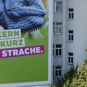 Symbolbild: Wahlplakat der Grünen