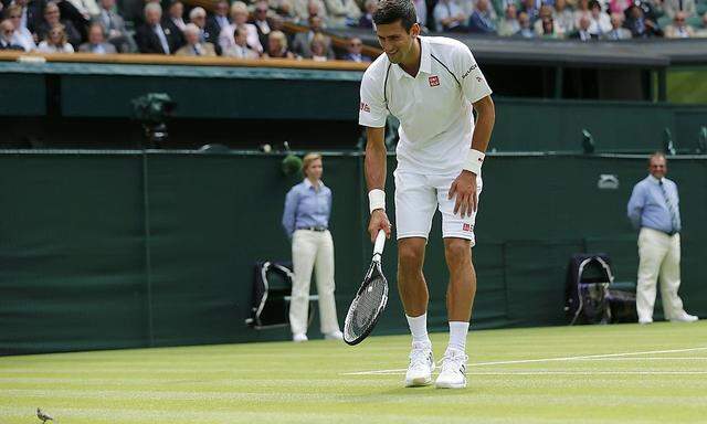 Novak Djokovic of Serbia chases a small bird off court during his match against Philipp Kohlschreiber of Germany at the Wimbledon Tennis Championships in London