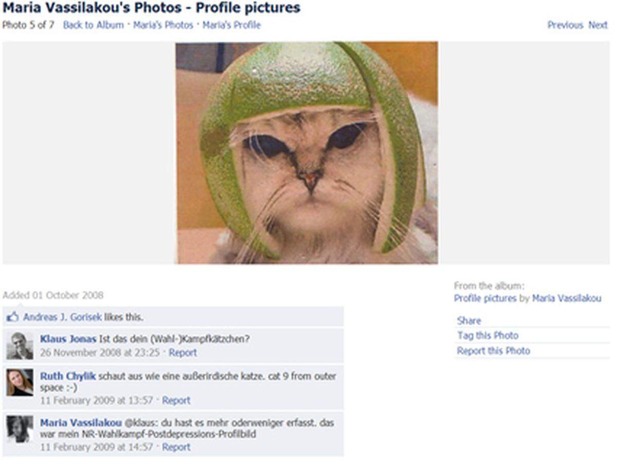 Maria Vassilakou von den Grünen hat auf ihrem Facebook-Profil gleich 3341 Freunde. Ob die Katze auf dem alten Profilfoto von Vassilakou glücklich über ihren grünen Helm ist, ist allerdings fragwürdig.