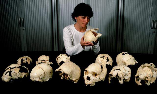 Homo heidelbergensis: Unser Ahn verschwand, als sein Lebensraum zu eng wurde. 