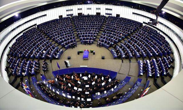 Wie wird das Europaparlament 2019 aussehen?