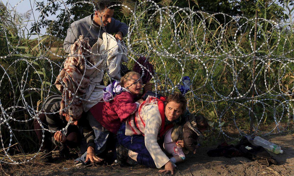 27. August 2015. Syrische Flüchtlinge gelangen durch den Stacheldrahtzaun am Höhepunkt der Krise nahe der Stadt Röszke nach Ungarn.