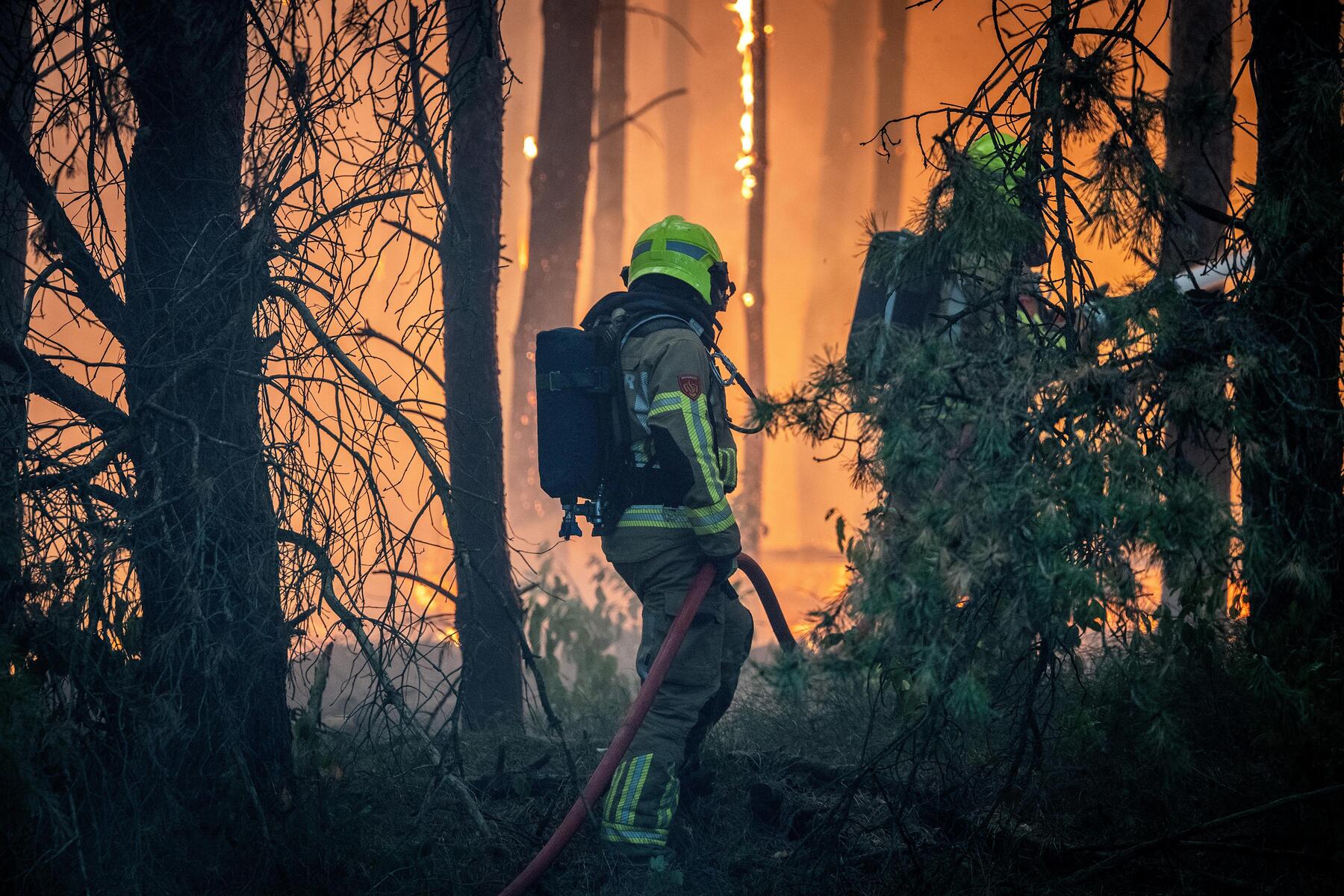Wildfires fuel strong business for fire equipment maker Rosenbauer