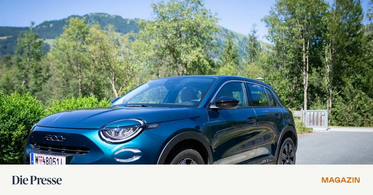 Reicht-es-f-r-einen-Fiat-niedlich-in-die-Gegend-zu-schauen-premium-
