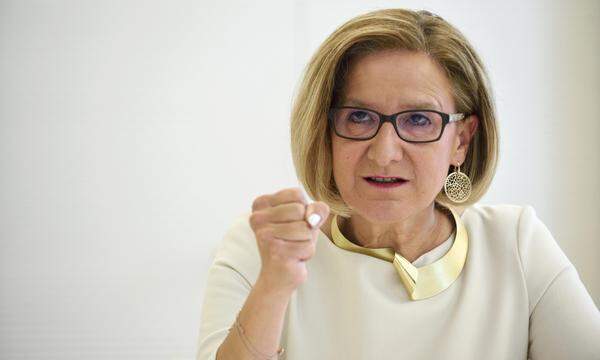 Niederösterreichs Landeshauptfrau, Johanna Mikl-Leitner (ÖVP), wollte für Kredite bürgen.
