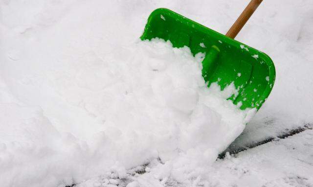 Schneeschaufel - snow shovel