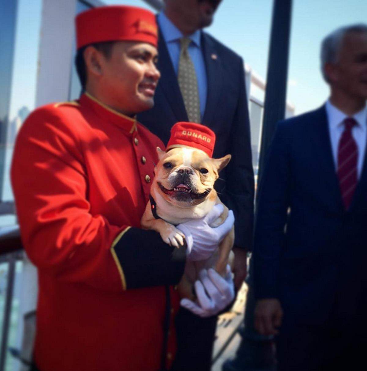 Eingeweiht wurde die neue Tierzone von Instagram-Hundeberühmtheiten wie Corgi Wally oder der Französischen Bulldogge Chloe.