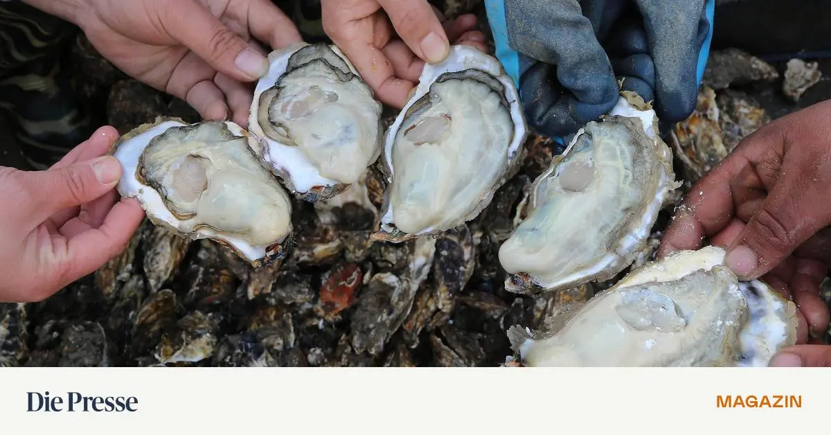 Wie-findet-man-ein-Allergen-premium-