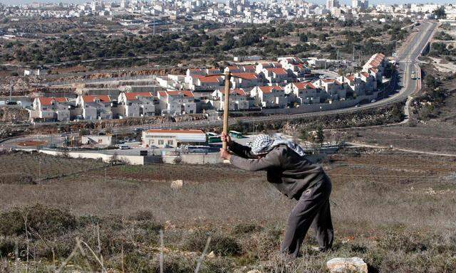 Palästinensischer Bauer auf seinem Feld nahe einer jüdischen Siedlung