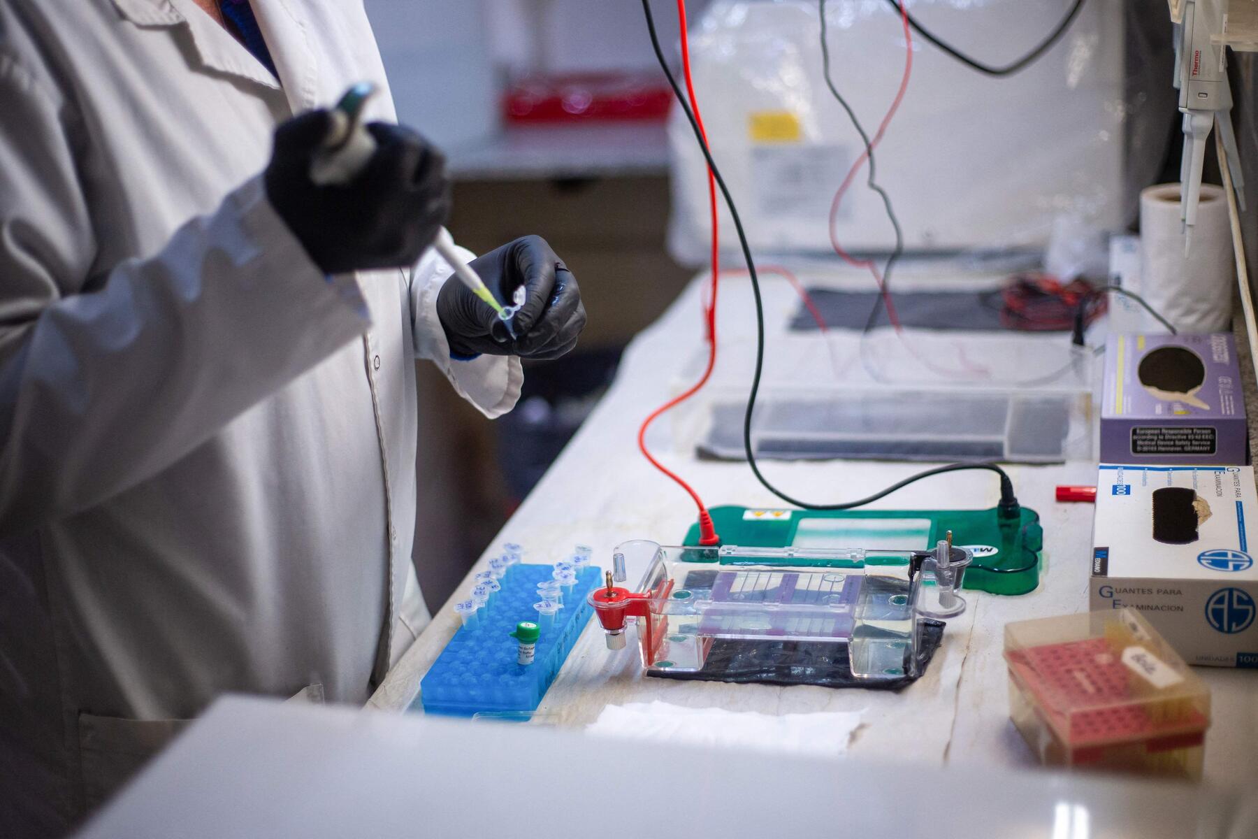 Österreichs Behörden suchen nach dritter Hantavirus-Kontaktperson