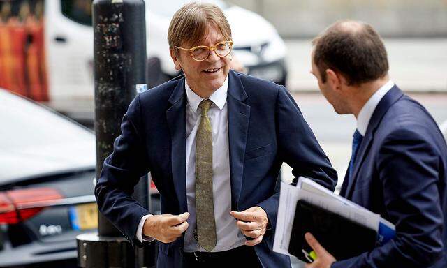Guy Verhofstadt ist Vorsitzender der Allianz der Liberalen und Demokraten für Europa im EU-Parlament.