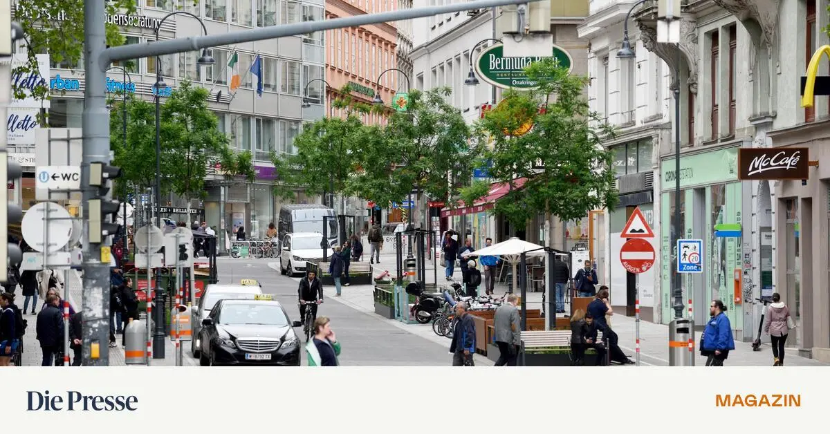 -Autofreie-City-So-k-nnten-Kameras-k-nftig-die-Innenstadt-kontrollieren-premium-