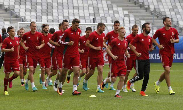 Hungary Training - EURO 2016