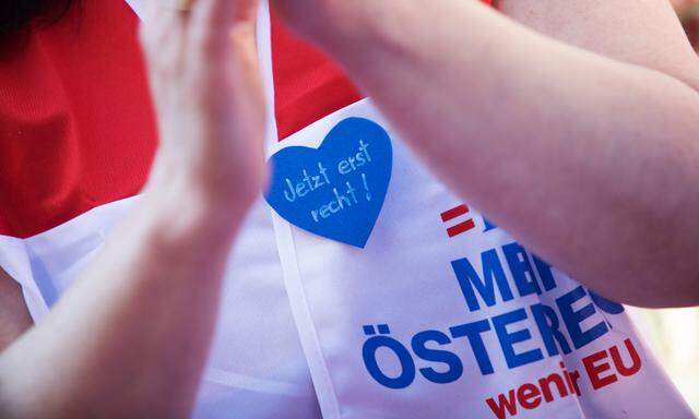 Das Bild entstand am 24. Mai bei der Abschlusskundgebung der FPÖ vor der Europawahl in Wien.