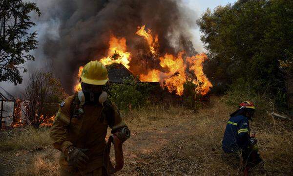 Wie die Lokalzeitung "Patras Times" berichtete, zerstörten die Flammen in der Stadt rund 30 Häuser, landwirtschaftliche Schuppen und Ställe.  Im Bild: Löscharbeiten in Labiri