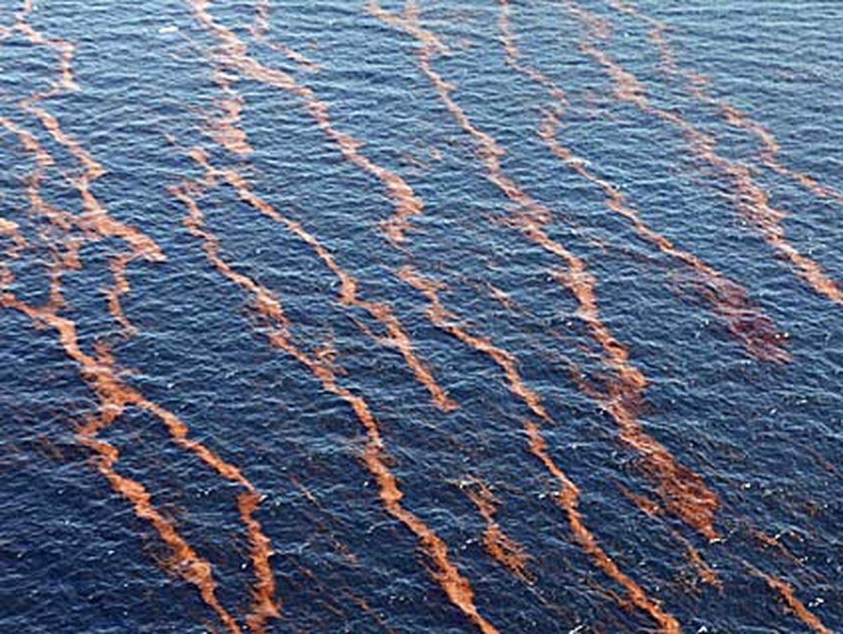 Der Ölteppich bedroht die Küsten der Bundesstaaten Louisiana, Alabama und Mississippi. Die US-Regierung stuft die Ölpest als Katastrophe "von nationaler Bedeutung" ein.