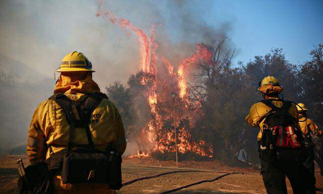Verzweifelter Kampf gegen die Flammen: Mehr als 12.000 Feuerwehrleute sind bei den Bränden in Kalifornien im Einsatz. 