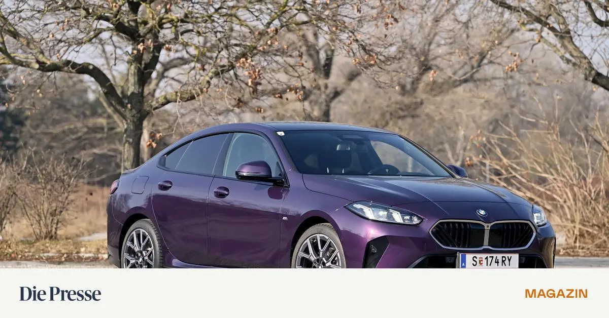 Ein-etwas-kleinerer-BMW-als-Alternative-zu-einem-etwas-gr-eren