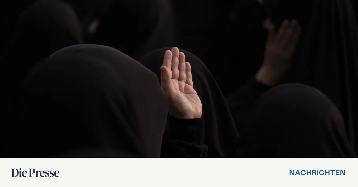 iran-habe-niemals-um-einen-waffenstillstand-gebeten