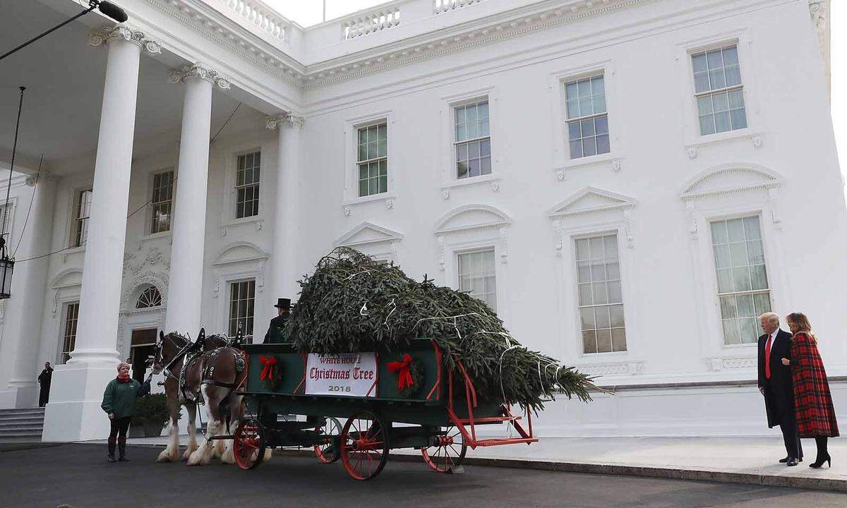 So hat Weihnachten heuer bei Familie Trump begonnen. Am 19. November nahm der US-Präsident gemeinsam mit seiner Frau Melania den größten Christbaum für das Weiße Haus in Empfang.